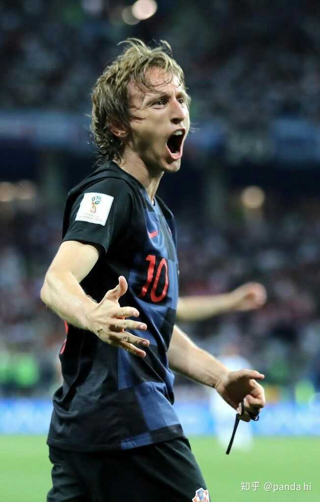 啥操作？！还有6个月踢世界杯 突尼斯足协把所有人炒了