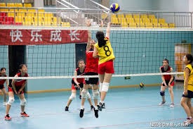 当听到你复出时，猛龙全队都慌了