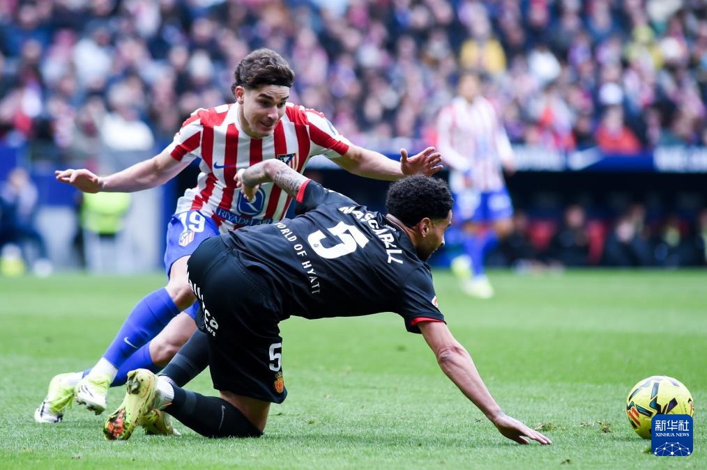 塔图姆：我不是会缺席比赛的人，只要队医允许我甚至能打野球